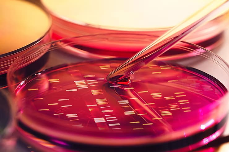 How we establish pharmacogenomic factors related to...